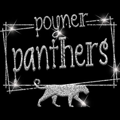 GLT90 SILVER GLITTER Thumbnail